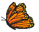 img2.gif