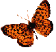 img3.gif