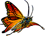 img4.gif